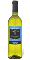 Clivus Pinot Grigio 2006 Bottle