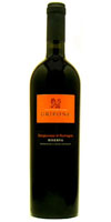 Grifone Sangiovese di Romagna Riserva 2006 Bottle